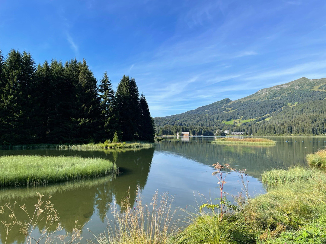 Hotel Waldhaus am See主图