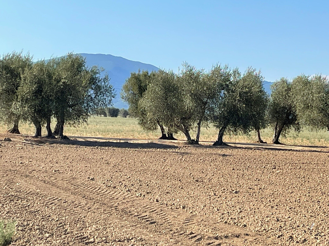 Podere Pietravento