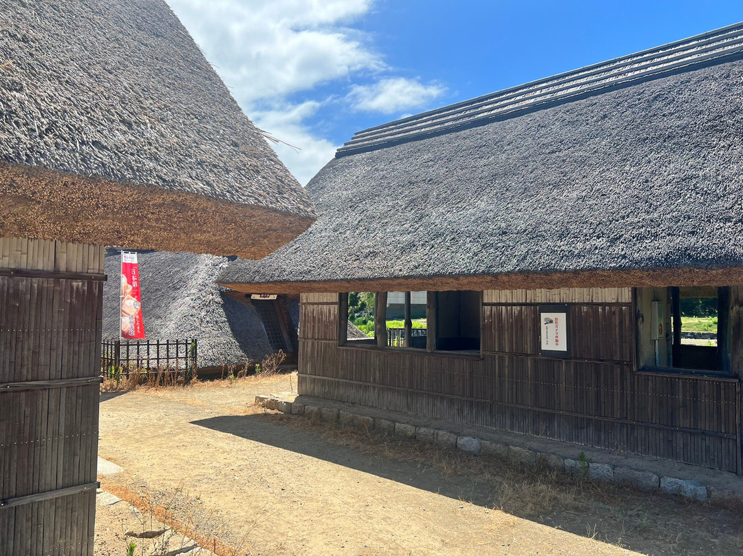 Ako Marine Science Museum Shionokuni-赤穗市必去景点