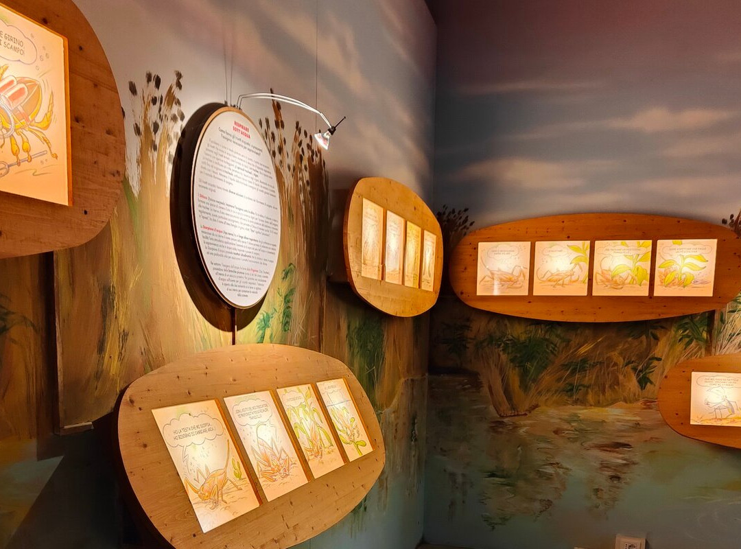 Casa delle Farfalle景点图片