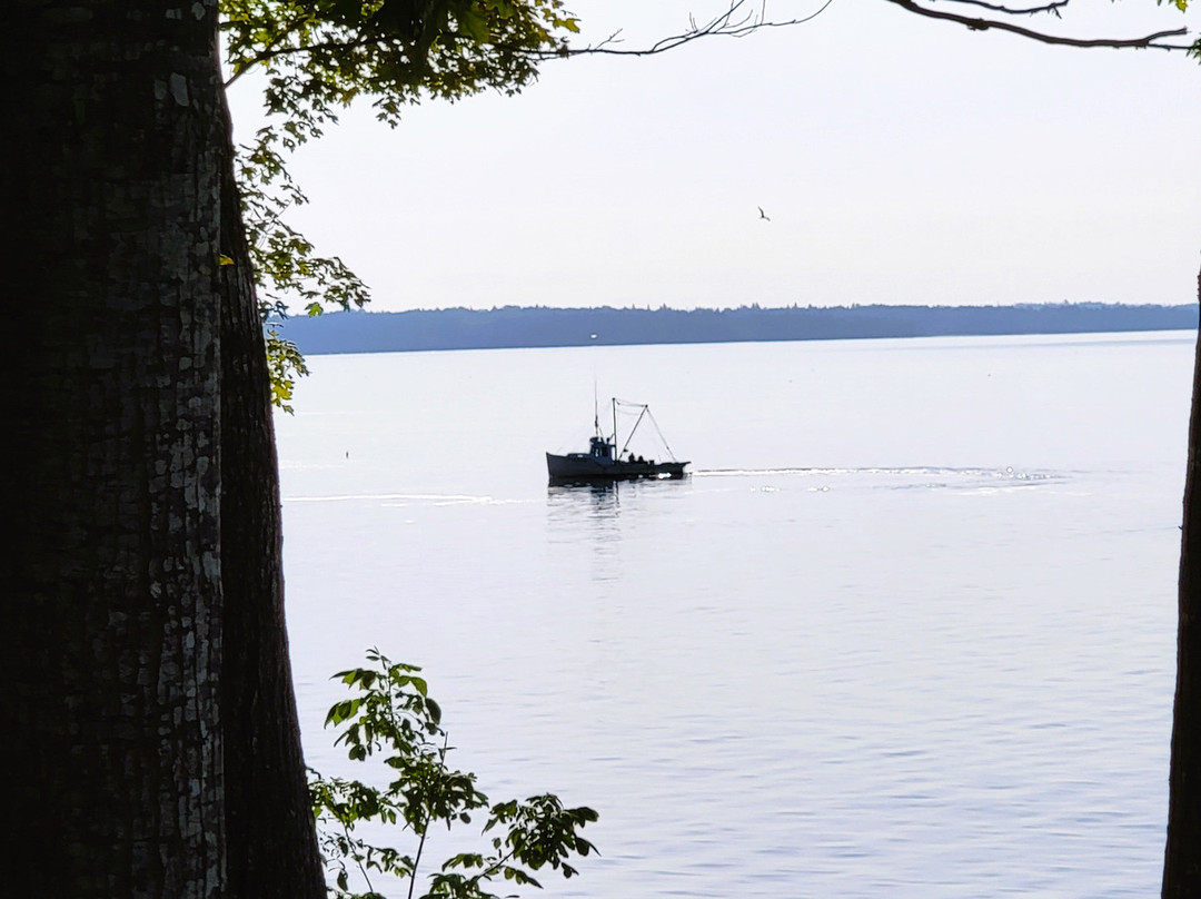 Glenmoor by the Sea主图