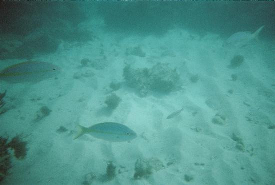 Water City PR-Luquillo必去景点