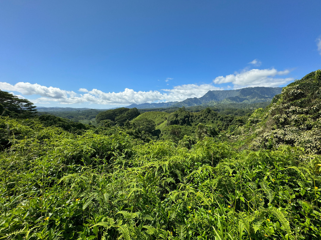 Kuilau Ridge Trail景点图片