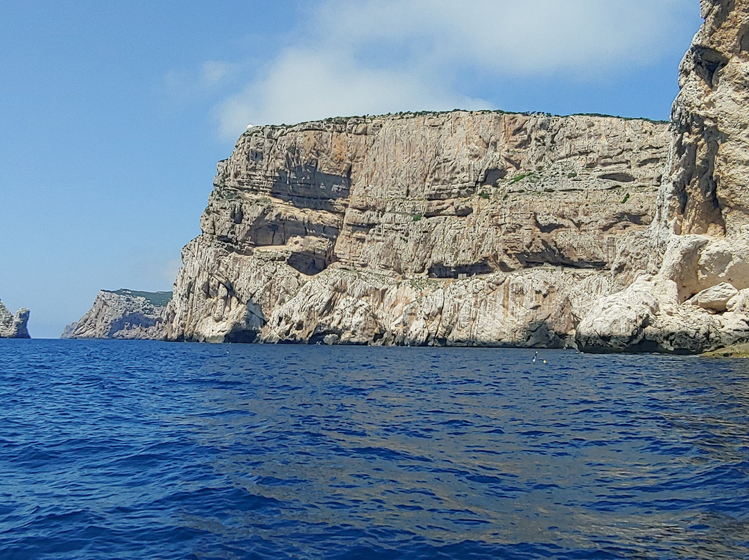 Freccia delle Grotte - Escursioni Grotte di Nettuno-阿尔盖罗必去景点