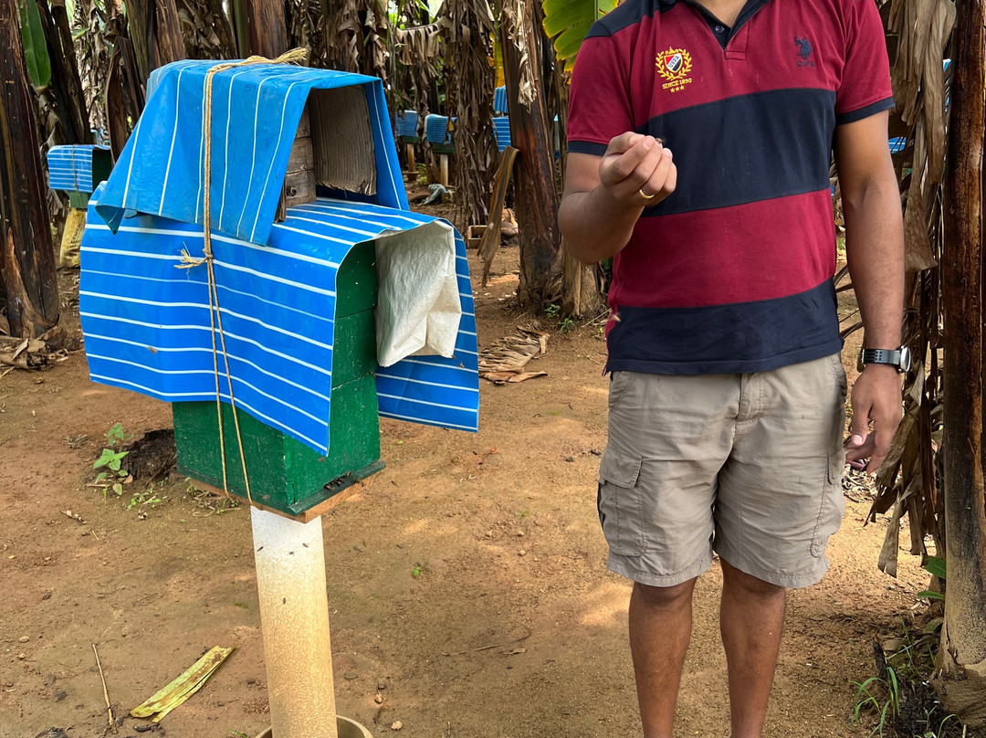 Philip's Natural Honey And Bee Farm景点图片