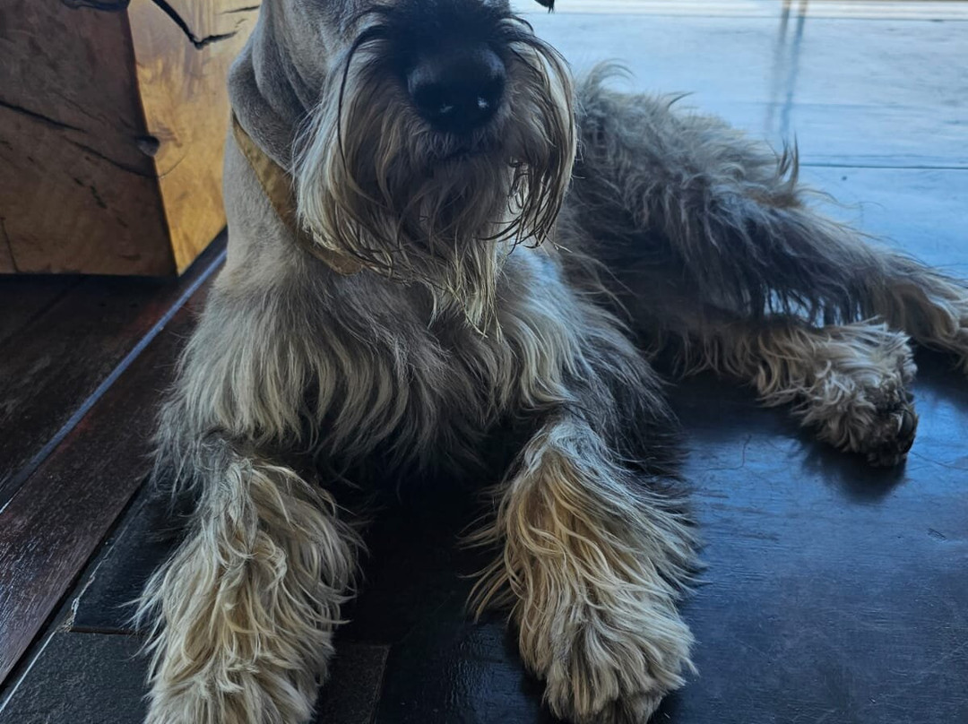 Misverstand Boutique Farm Lodge主图