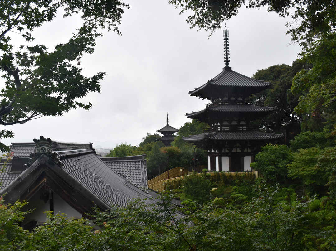 Taima-dera Temple, Sainain景点图片