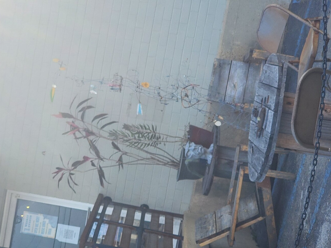 Druid City Brewing Company-塔斯卡卢萨县必去景点