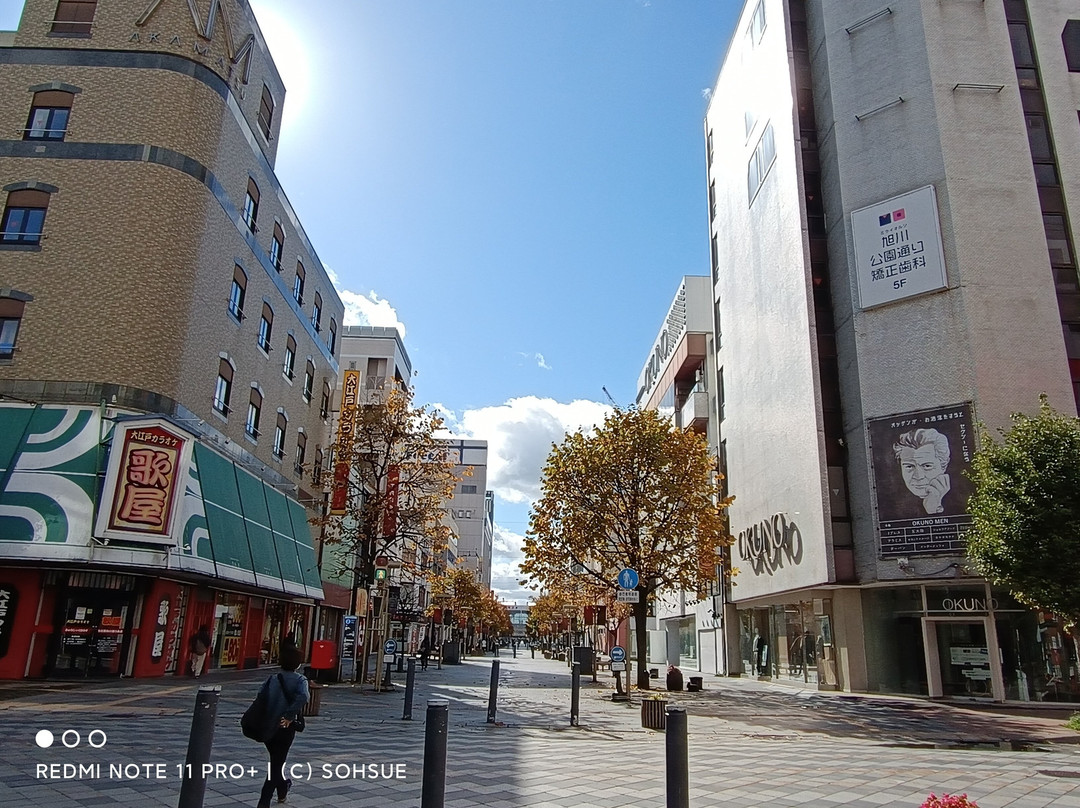 Asahikawa Heiwa Street Shopping Park-旭川市必去景点