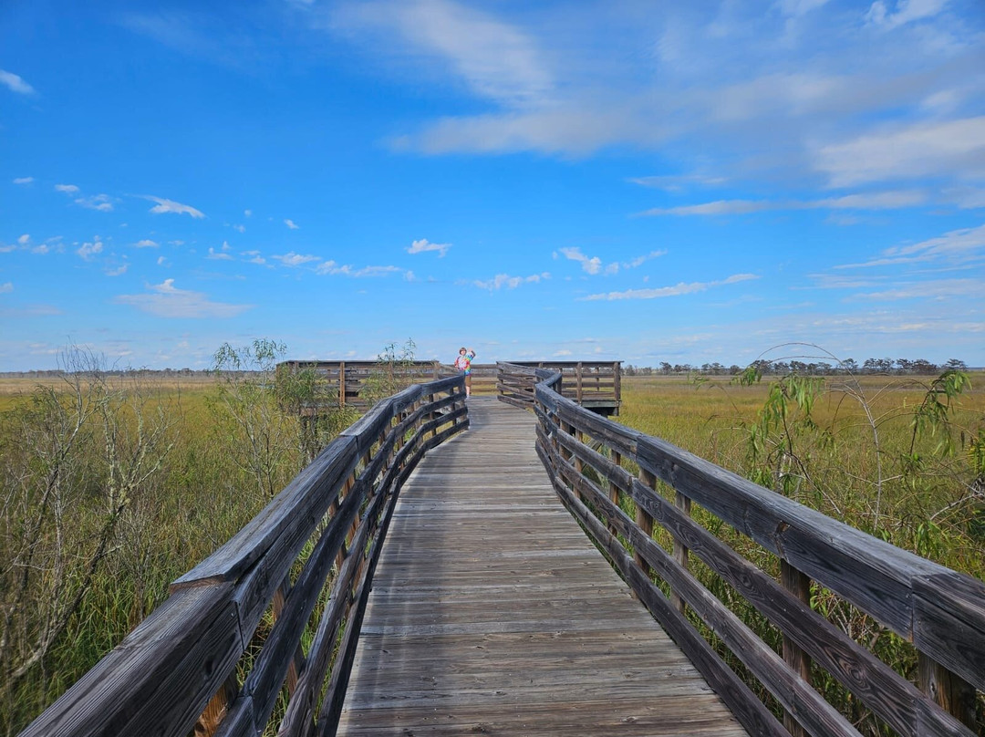 Scipio Creek Boardwalk景点图片