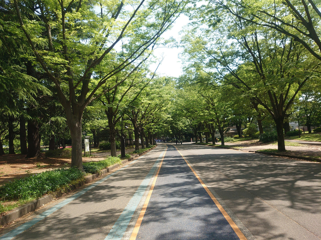 驹泽奥林匹克公园-世田谷区必去景点