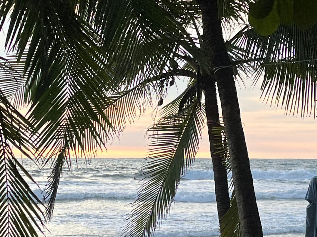 Playa Avellana景点图片