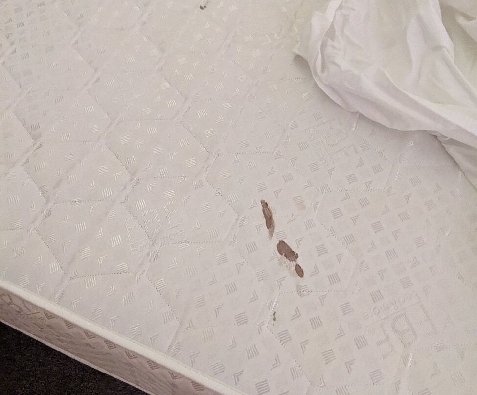 卡门乌纳美居酒店主图