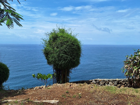 日惹边缘度假村主图
