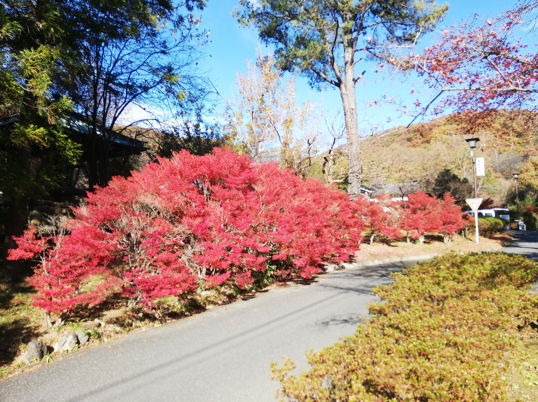 Chorin-ji Temple景点图片