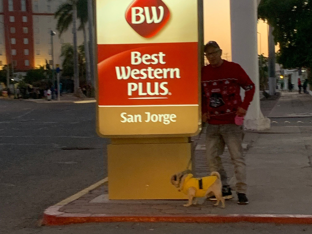 Best Western Plus San Jorge主图