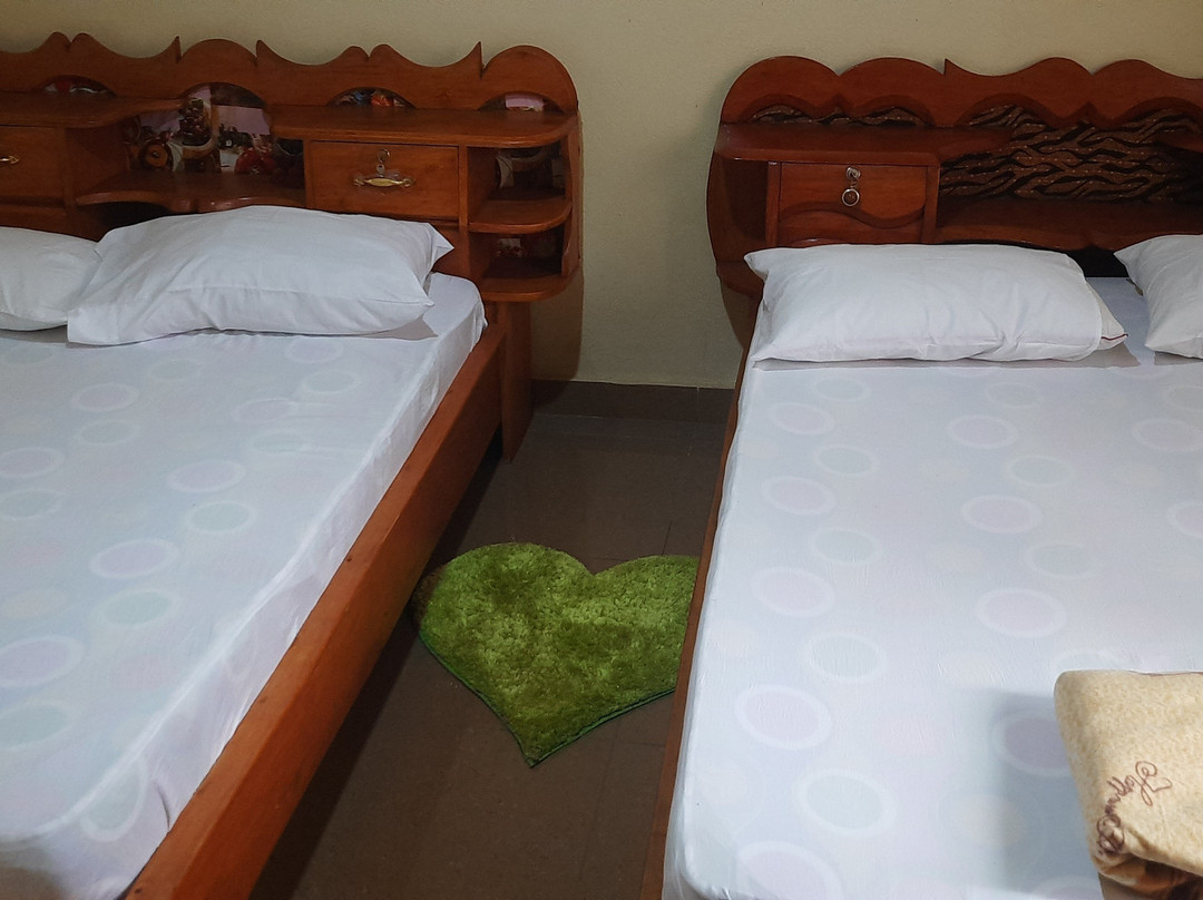 Yogi Homestay Freetown主图