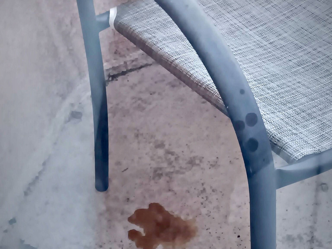 The Forest Villas Hotel主图