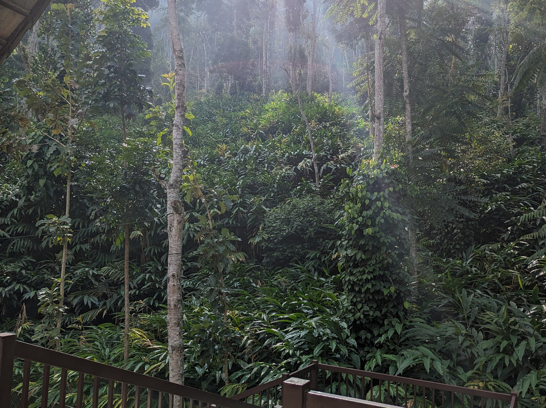 Amaana Plantation Resort主图