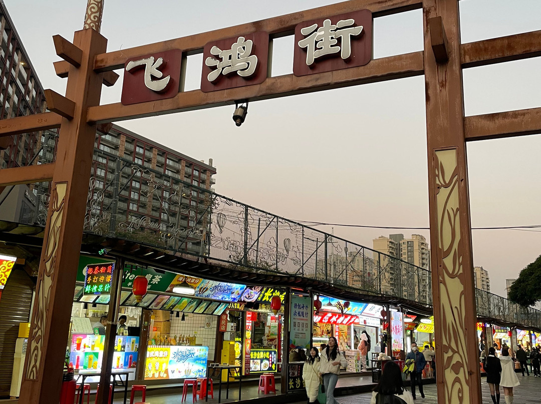 佛山飞鸿步行街