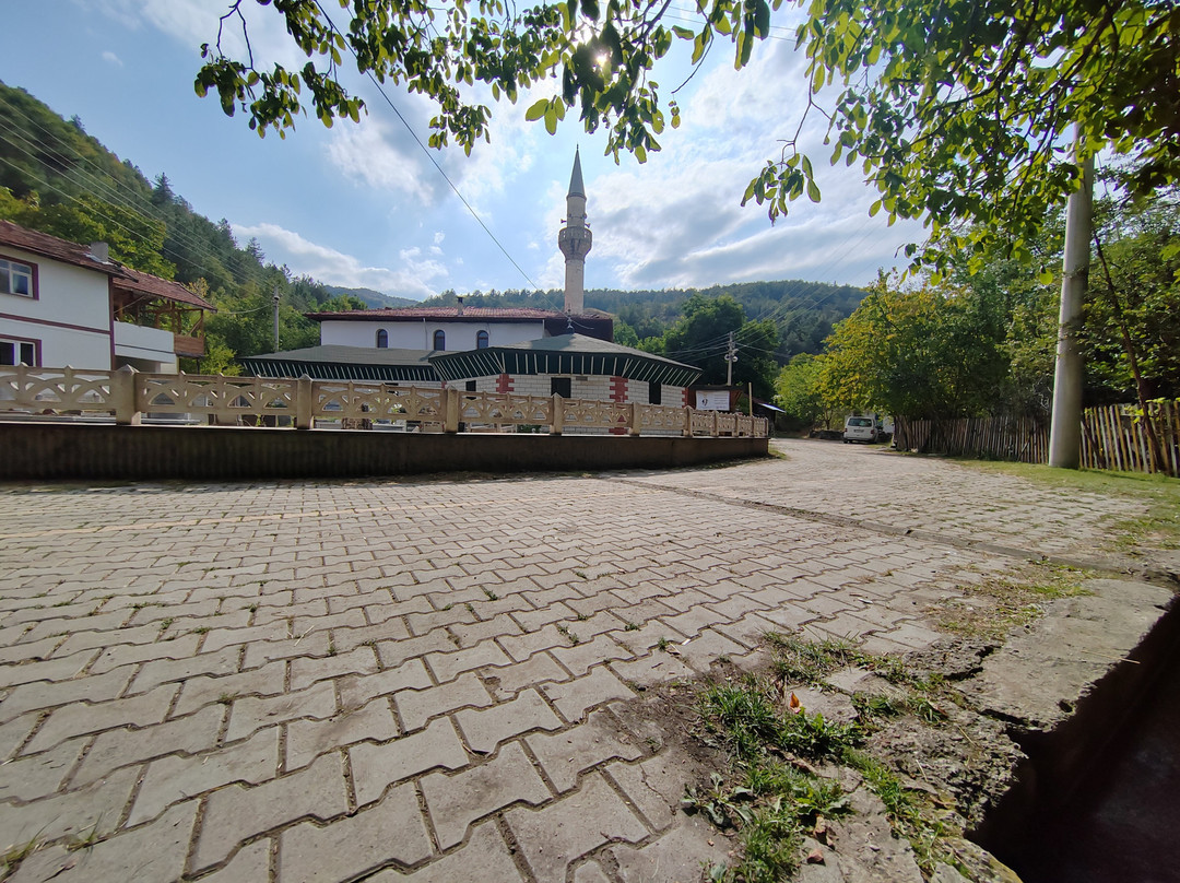 Haracoğlu türbesi景点图片