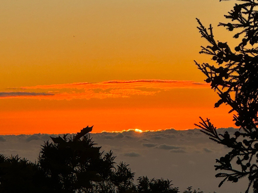 Marmite Lontan主图