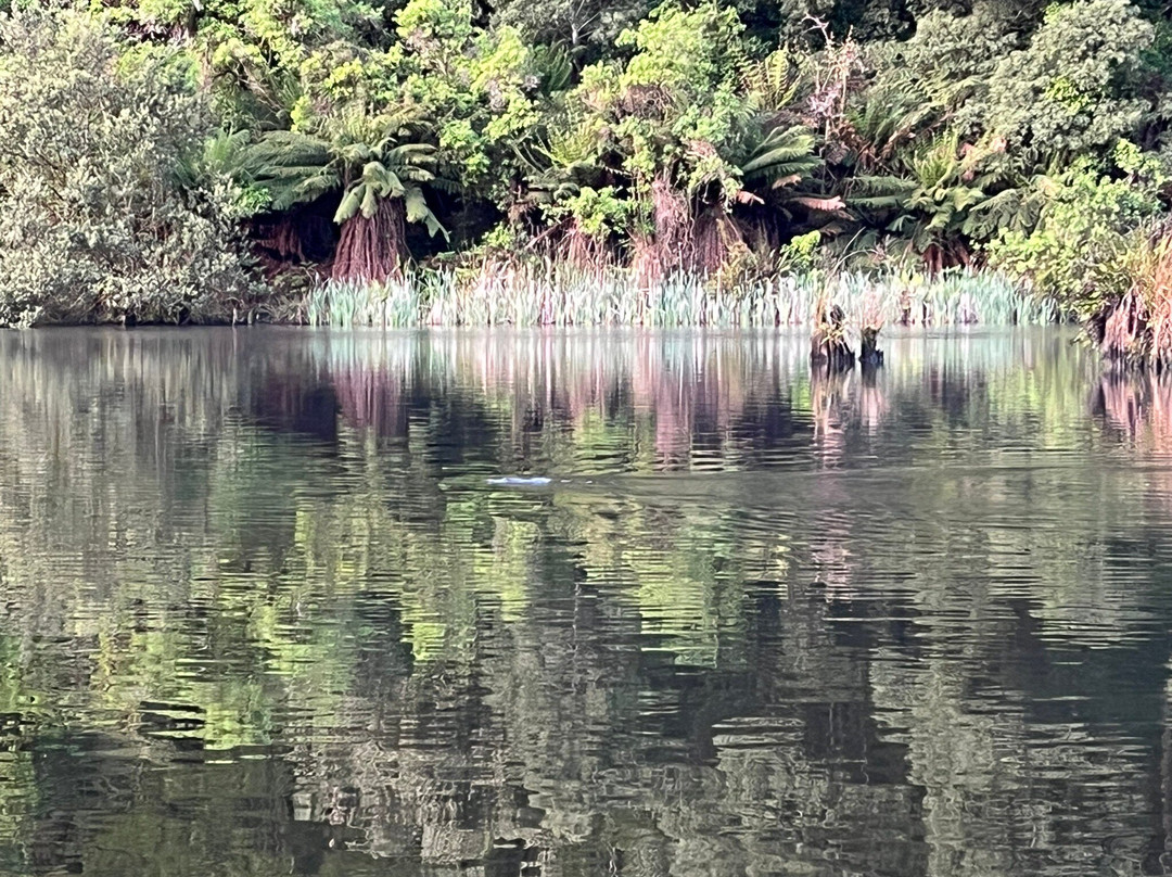 Otway Eco Tours-Forrest必去景点