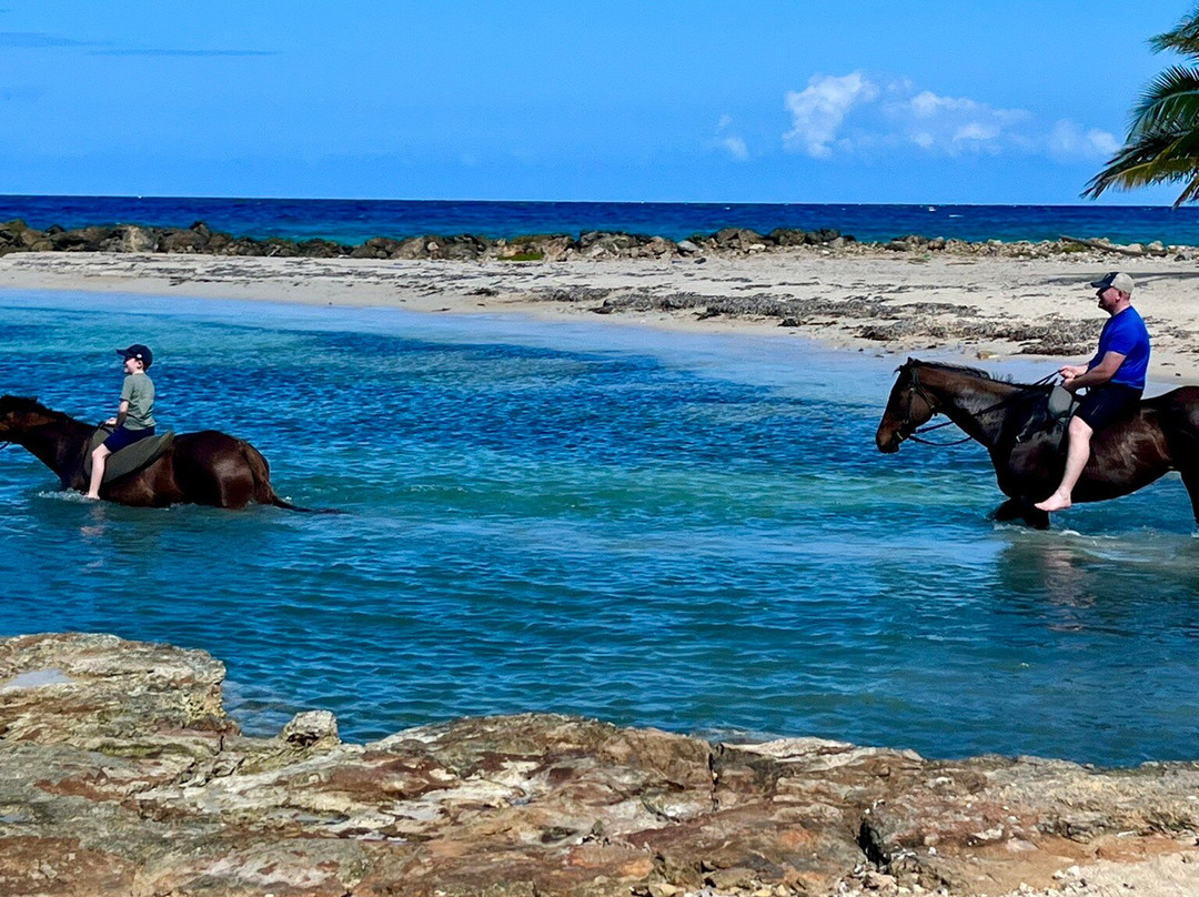 Sand n' Saddle-Rio Bueno必去景点