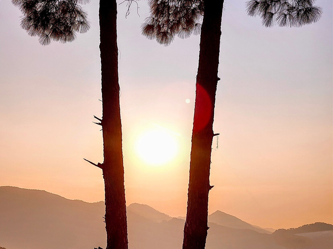 Sukoon Nature Retreat主图