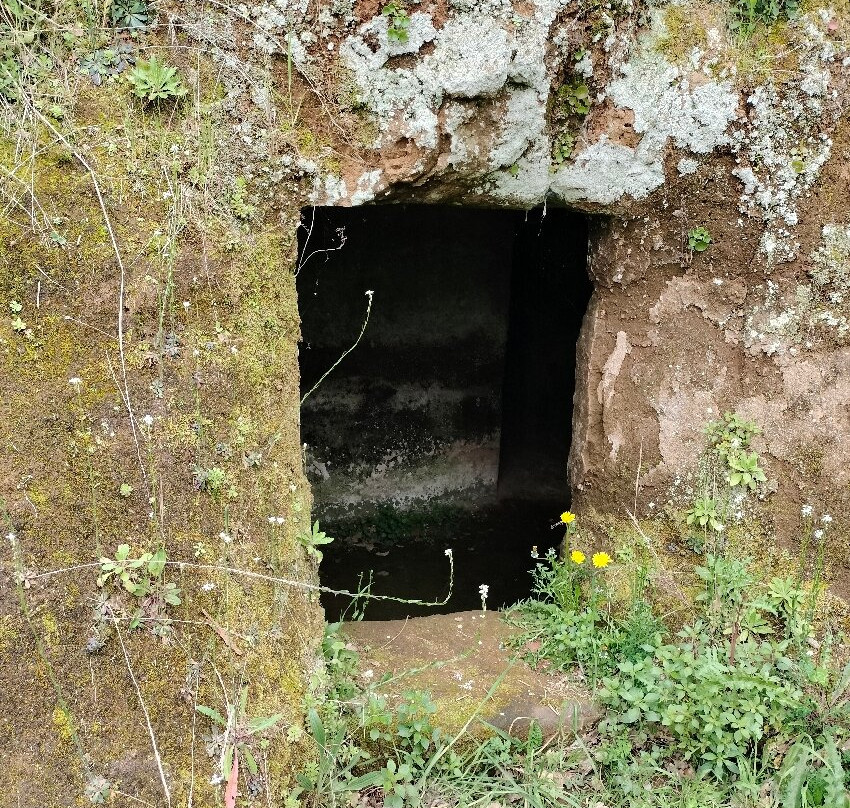 Area archeologica Madonna dell'Olivo景点图片