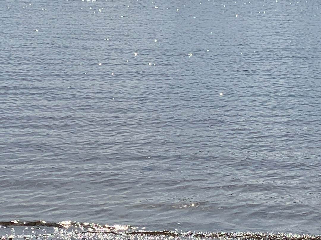 Galloway Activity Centre-Castle Douglas必去景点