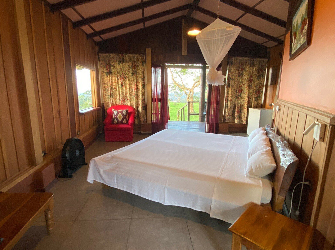 Los Gallitos Hotel主图