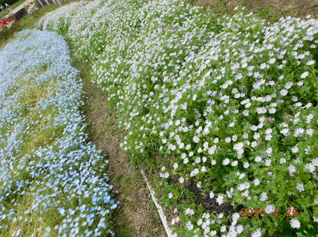 Umami-kyuryo Park-河合町必去景点