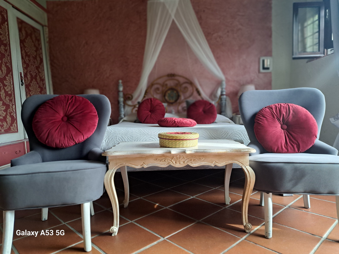 Guest House Antico Frantoio Pietrasanta主图