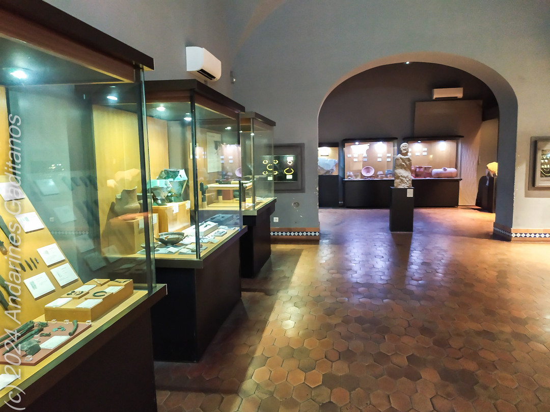 Museo de Caceres景点图片