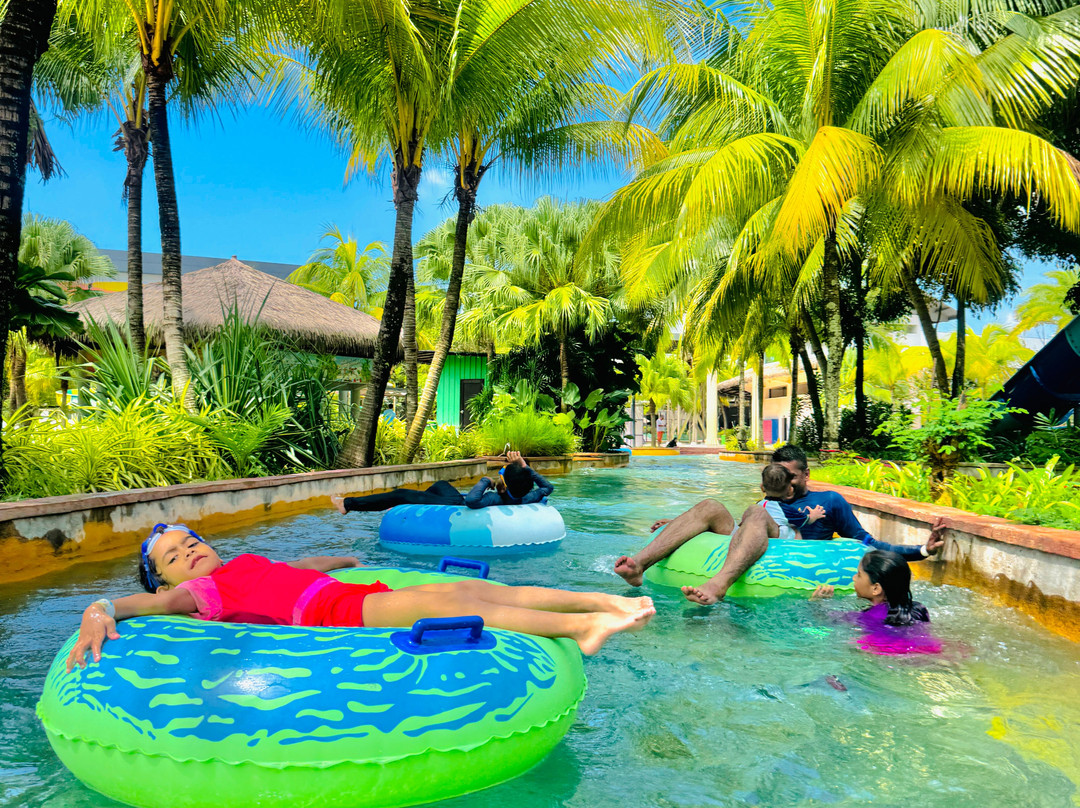 Austin Heights Water & Adventure Park景点图片