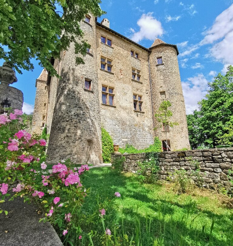 Chateau de Charmes景点图片