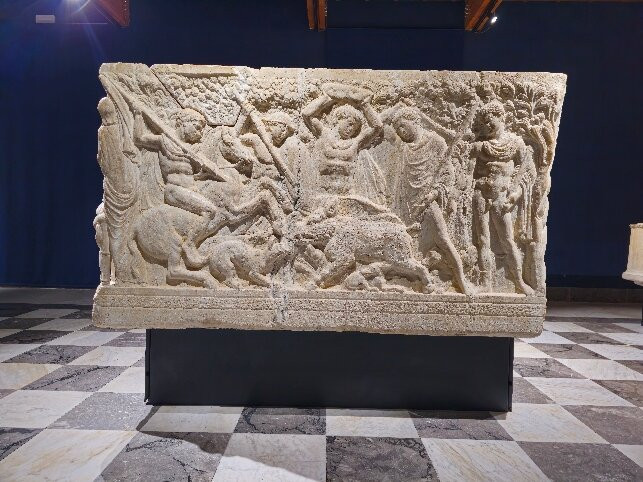 Museo Diocesano della Cattedrale景点图片