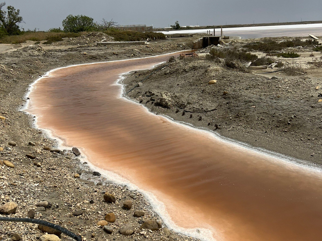 Salin De Provence-Salin de Giraud必去景点