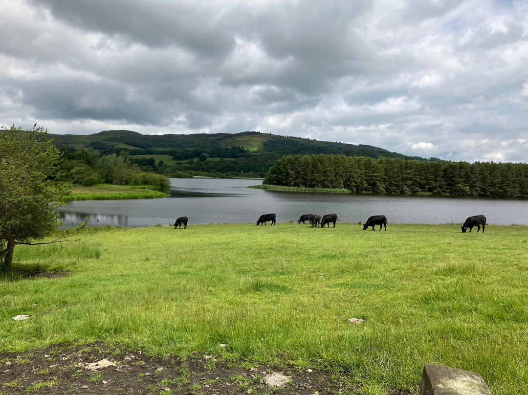 Lochore Meadows Country Park-Lochgelly必去景点
