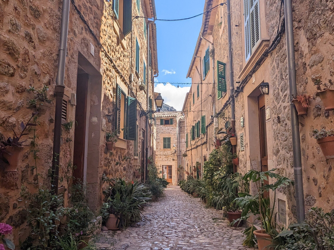 VIP  Malaga Tours-马拉加必去景点