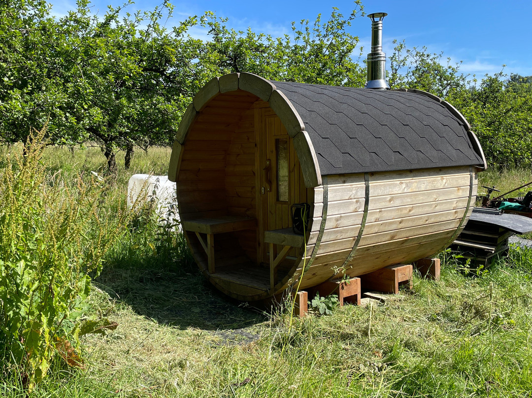 The Orchard - Dorset Star Cider