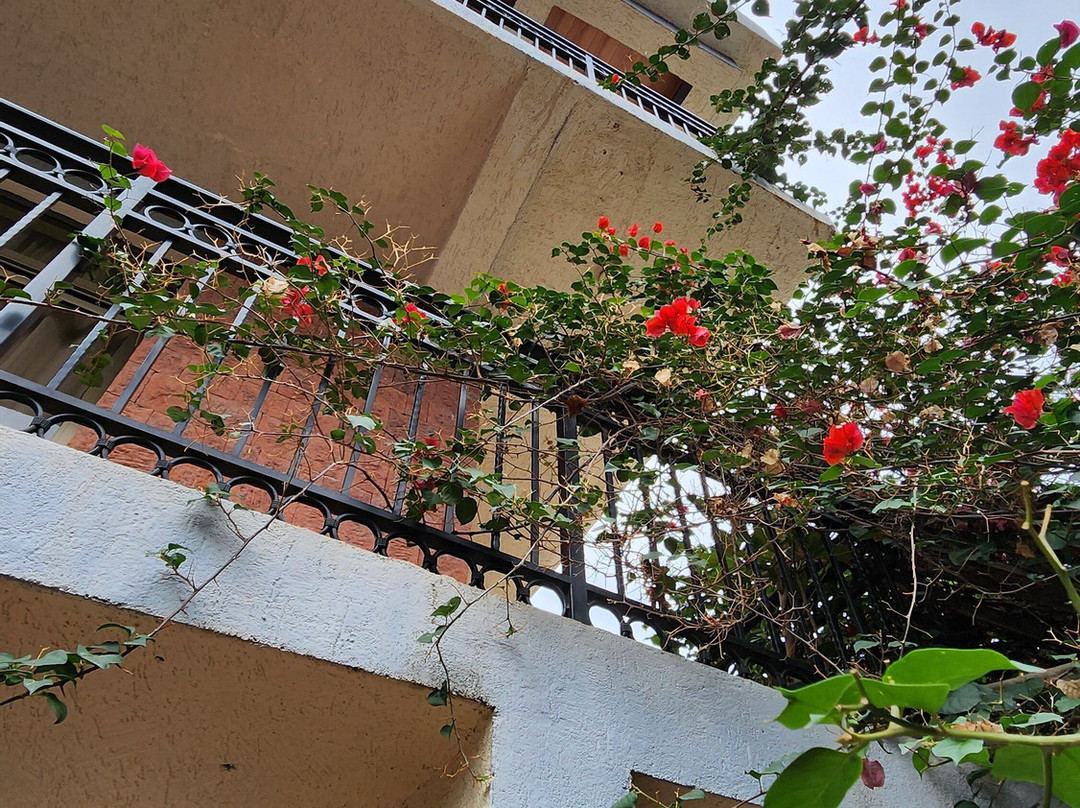 Tabor Hotel Lalibela主图