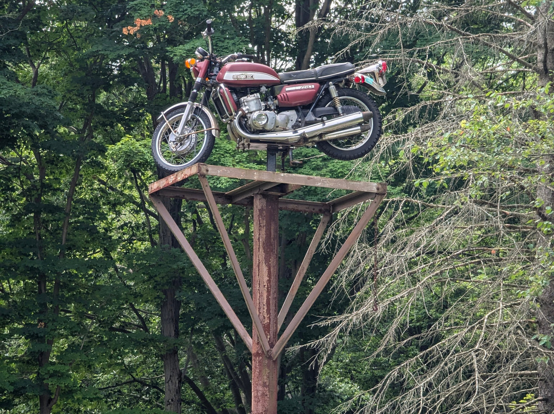 Schaefer's Auto Art-伊利必去景点