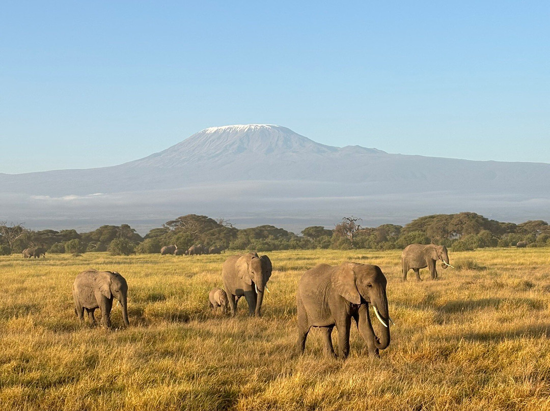 Brighte Maasai Adventures景点图片