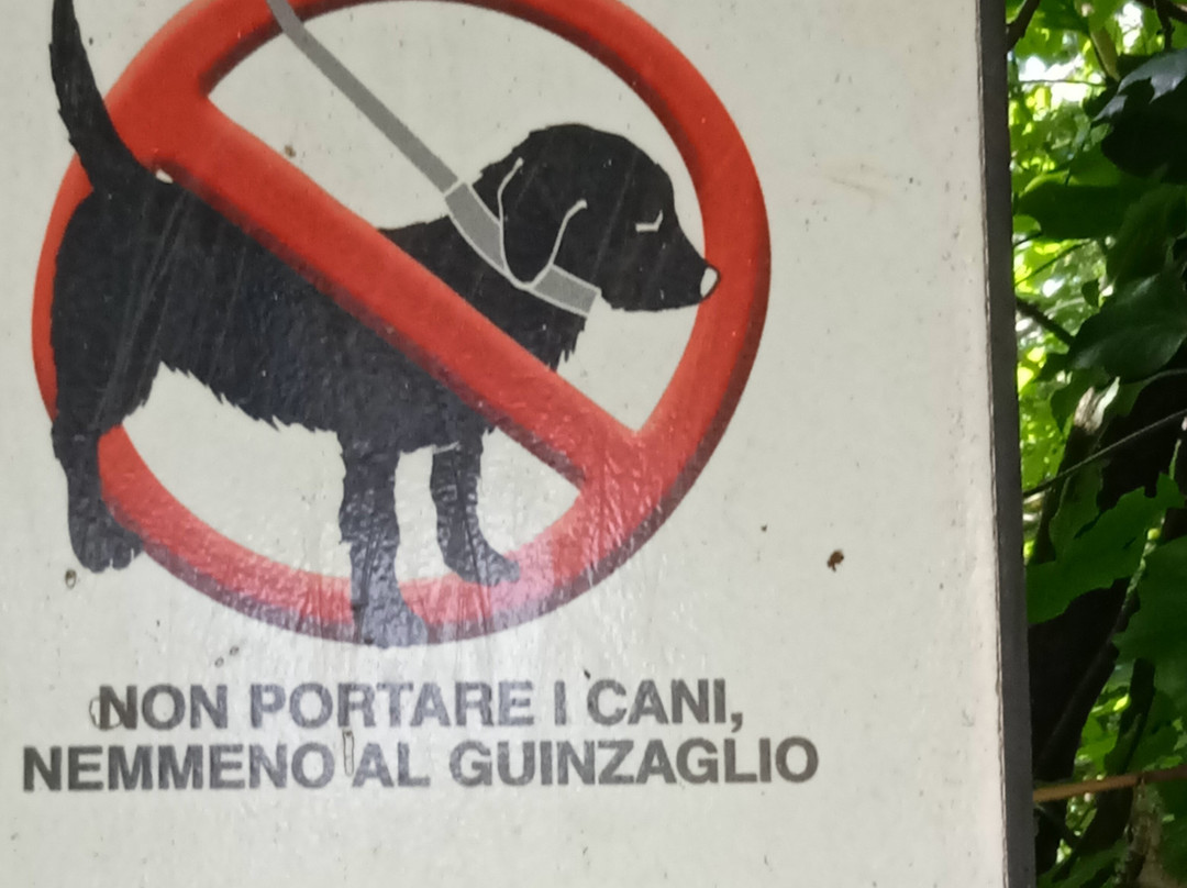Parco Regionale Fluviale del Taro景点图片