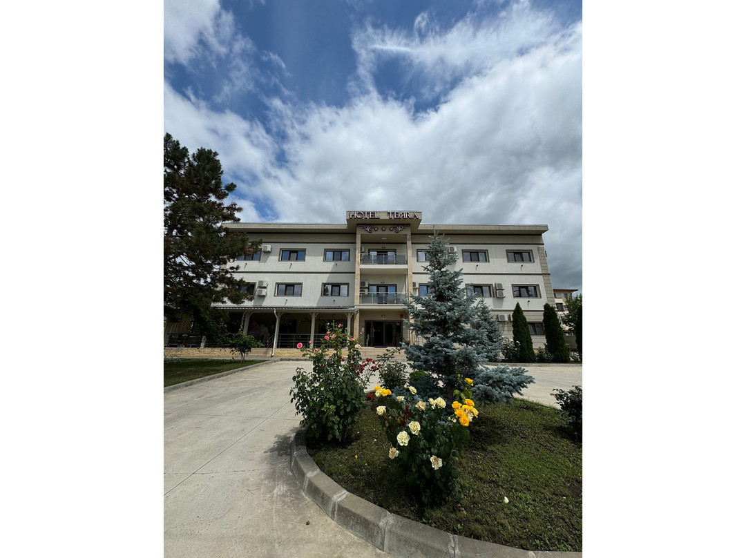 Hotel Terra Iasi主图
