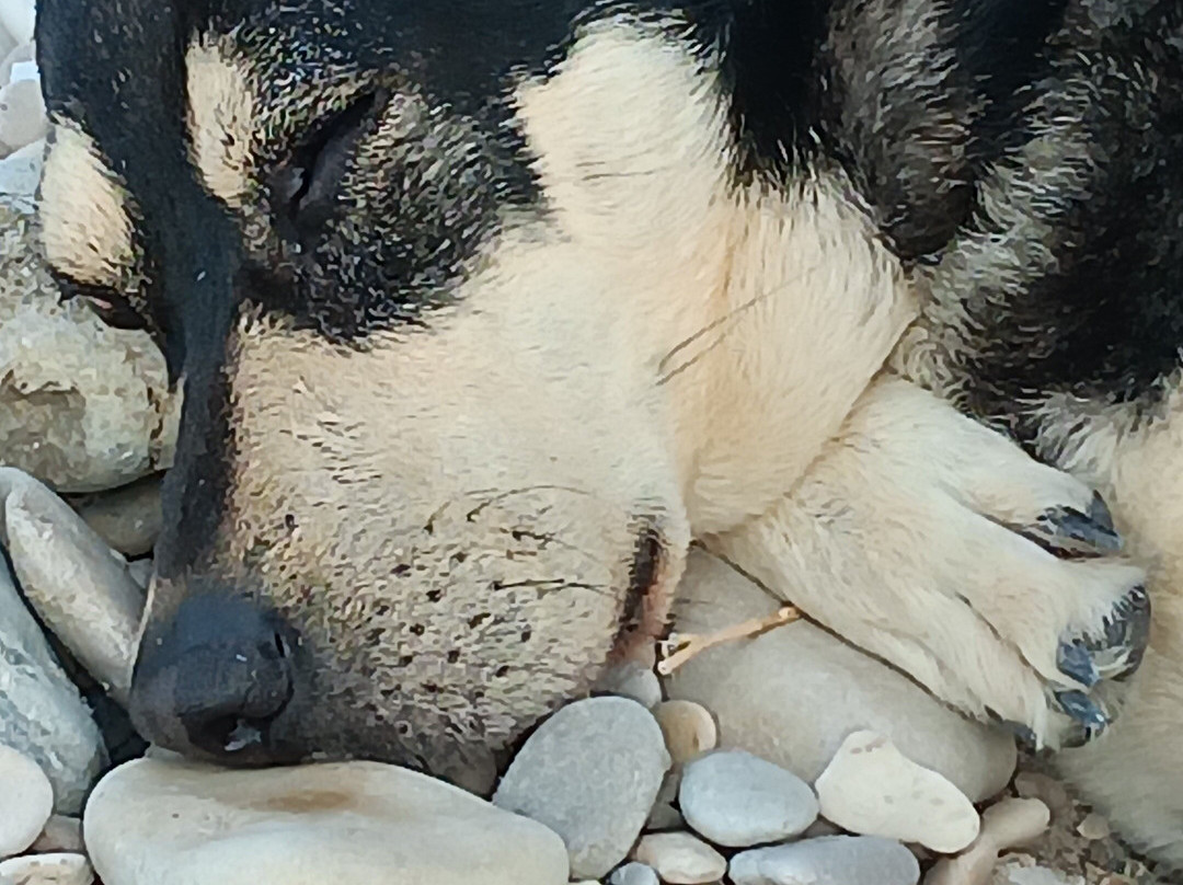 La Casa di Rinaldo Bed&Breakfast主图