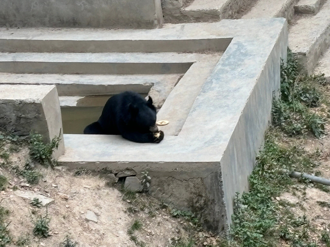 Himalayan Nature Park-Kufri必去景点