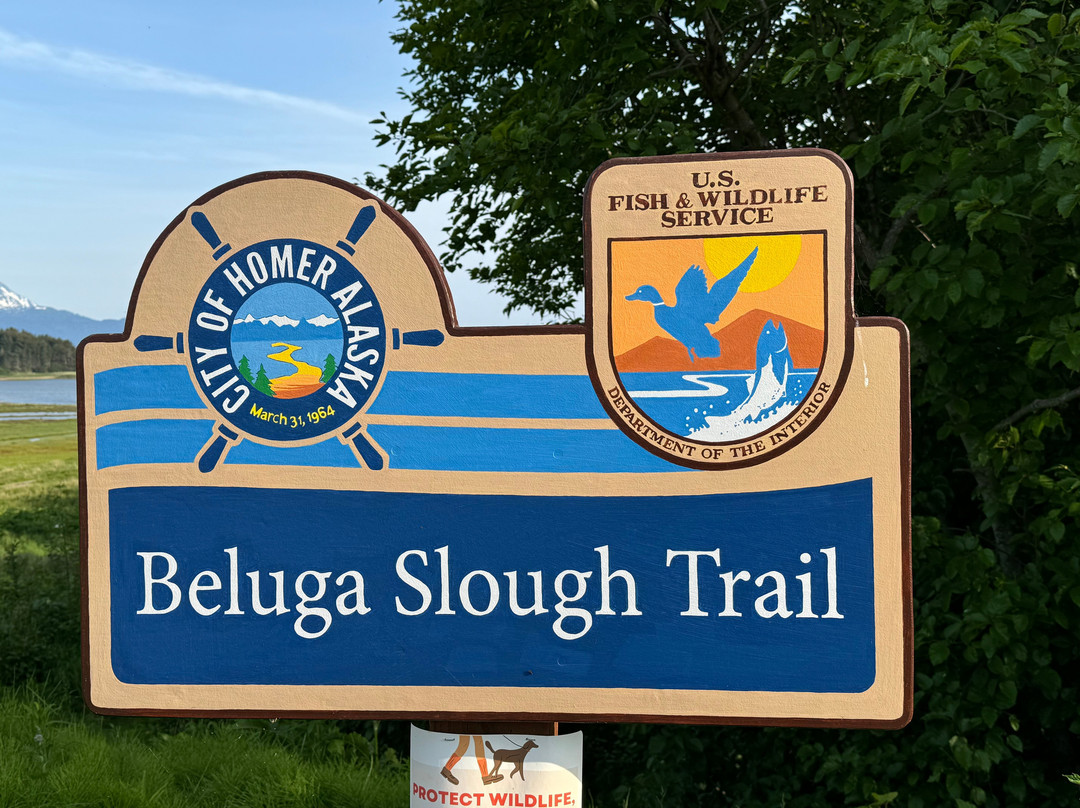 Bishop's Beach Park-荷马必去景点